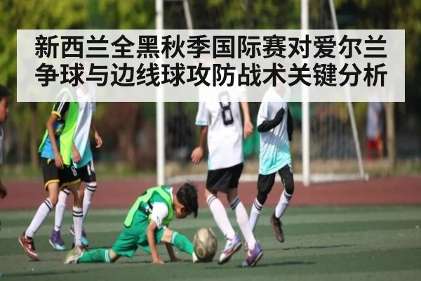 新西兰全黑秋季国际赛对爱尔兰争球与边线球攻防战术关键分析
